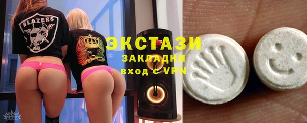 дживик Надым