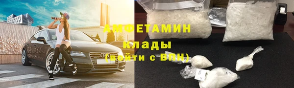 дживик Надым