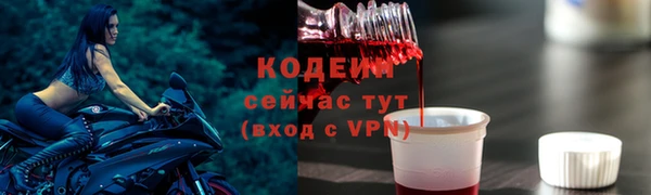 дживик Надым