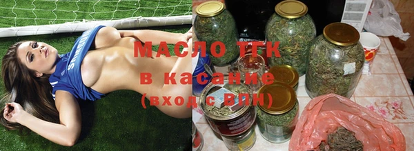 дживик Надым