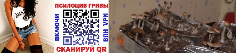 Галлюциногенные грибы ЛСД  наркотики  Новая Ляля 