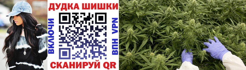 где продают наркотики  Новая Ляля  Канабис Bruce Banner 